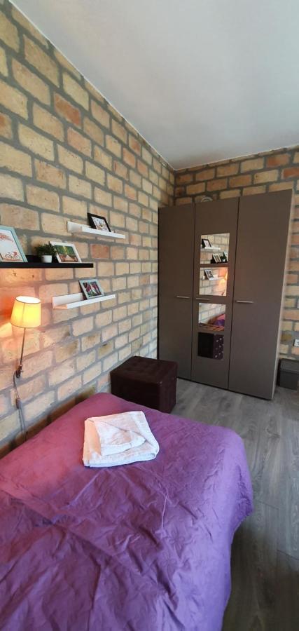 Bakina Kuca Apartment Golubac Ngoại thất bức ảnh