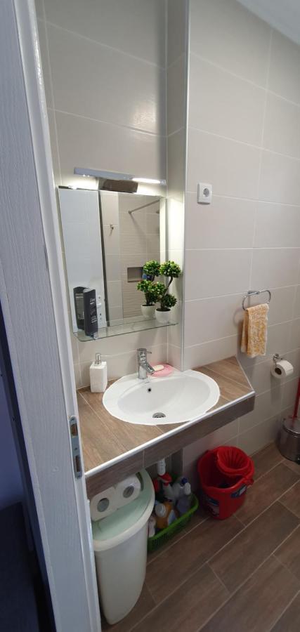Bakina Kuca Apartment Golubac Ngoại thất bức ảnh