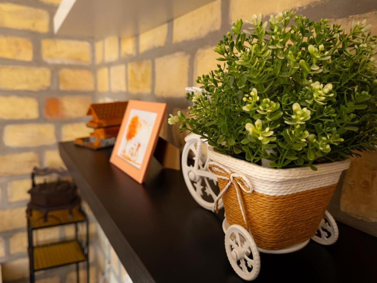 Bakina Kuca Apartment Golubac Ngoại thất bức ảnh
